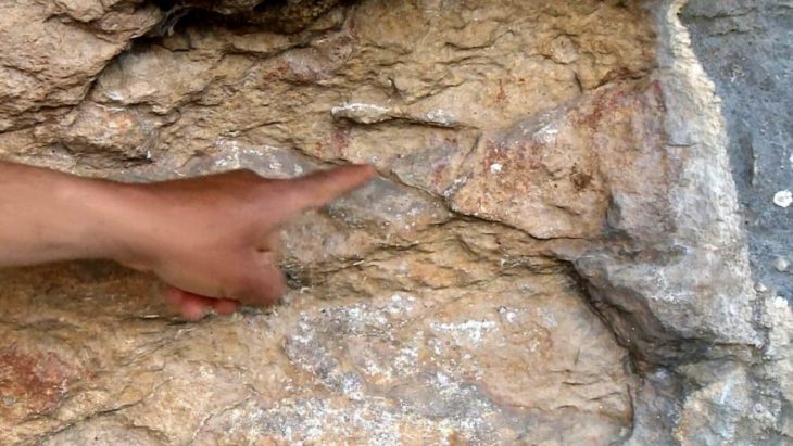 Mersin 8 bin yıllık kaya resmi