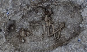 Stonehenge Tüneli Alanında Bronz Çağı Mezarlar ve İşlikler Ortaya Çıkarıldı