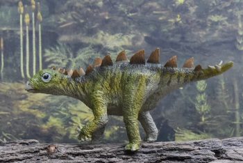 Dünyanın en küçük Stegosaurus bulundu