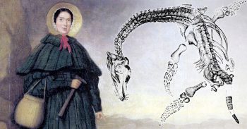 Mary Anning ilk kadın paleontolog