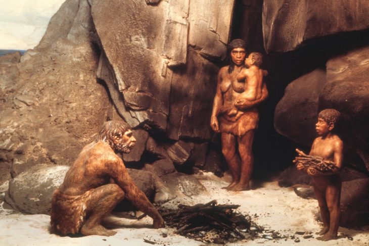 Neandertallerin Ölümünden Homo Sapiensler Suçlu Olmayabilir?