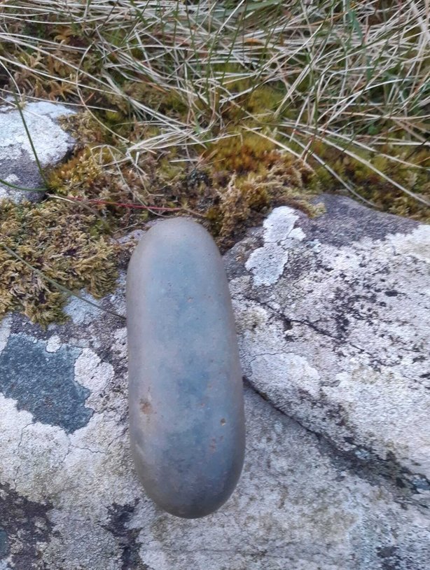 İrlanda da bir çiftçinin bulduğu oval taş parçası