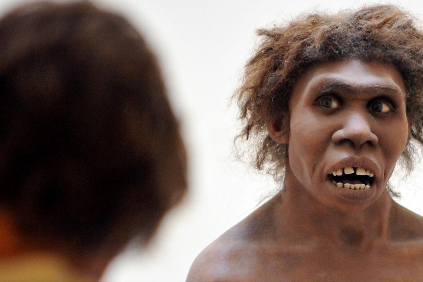 Neandertal insanı dişlerini nasıl koruyordu