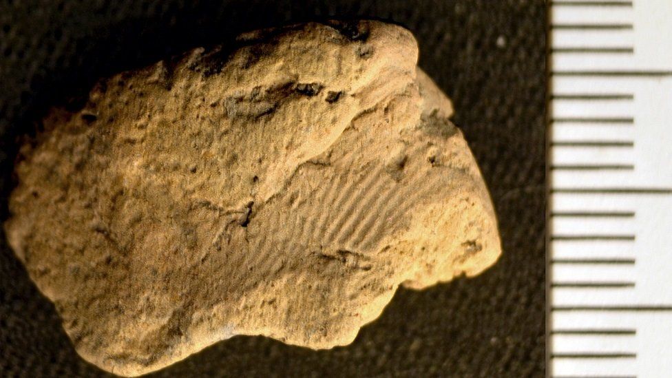 Orkney'de bulunan 5.000 yıllık çömlek üzerinde parmak izi
