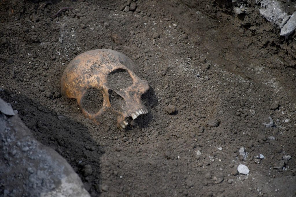 Kuşadası Anaia Höyüğü kazısında bulunan kafatası