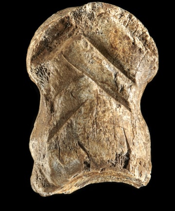 Almanya'nın Harz Dağları'ndaki bir mağarada bulunan geyik ayak kemiği dünyanın en eski sanat eseri olabilir
