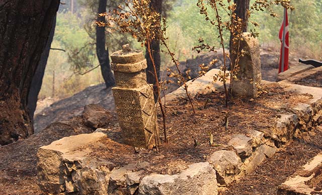 Senir Mahallesinde bulunan 800 yıllık mezarlık orman yangında zarar gördü. Fotoğraf DHA