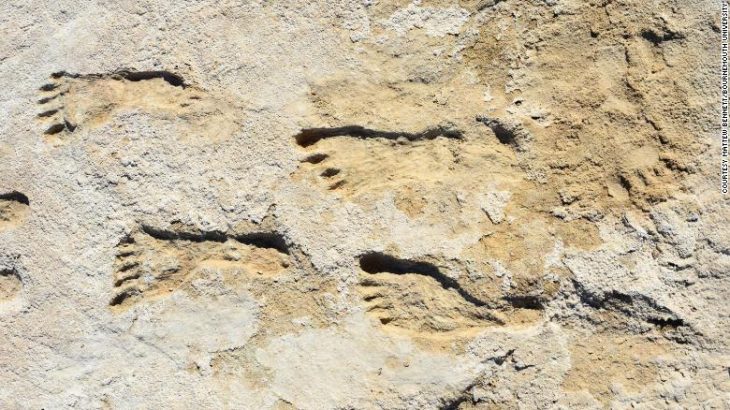 Amerika kıtasında 23.000 yıllık fosilleşmiş ayak izleri