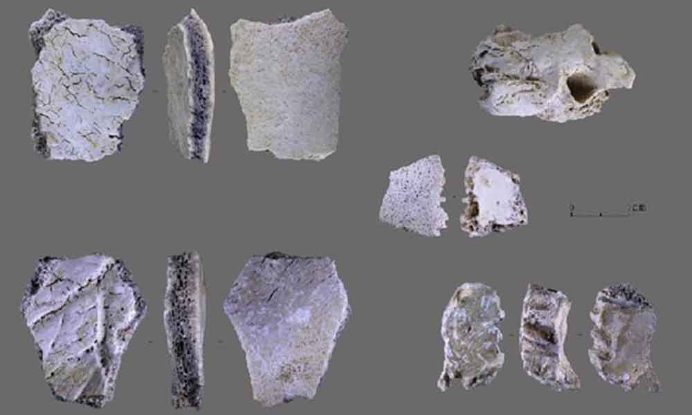 Çin’de 32 bin yıl öncesine tarihlenen insan kafatası fosili bulundu