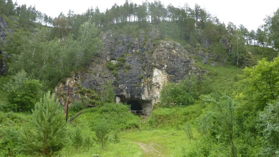 Denisovalıların parmak kemiği şeklindeki varlığının ilk belirtisi, Denisova Mağarası adı verilen bu Sibirya mağarasında keşfedildi. Fotoğraf: Katerina Douka