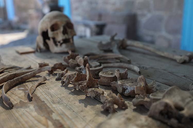 Pergamon nekropolünde çıkarılan iskelet