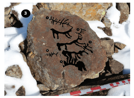 Artvin Arılı (Demirkapı) Yaylası Kaya Resimlerinde Hayvan motiflerinin çizimi
