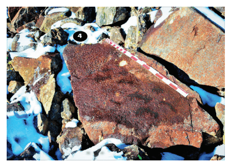 Artvin Arılı (Demirkapı) Yaylası Kaya Resimlerinde balık figürü