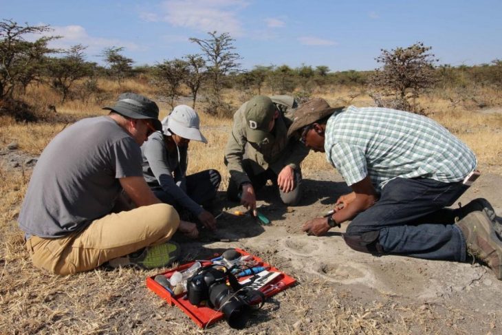 Tanzanya'da 3.7 milyon yıllık ayak izleri bulundu