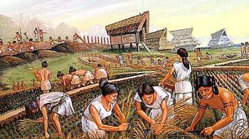 Mezopotamya tarım tarihini etkileyecek araştırma yayınlandı