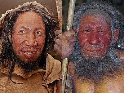 Neandertaller aletleri Cro-Magnon'larla aynı şekilde kullanıyorlardı