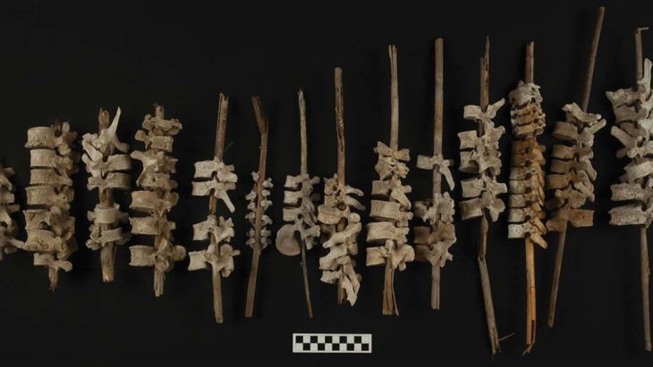 Peru'da kamışlara takılmış insan omur kemikleri