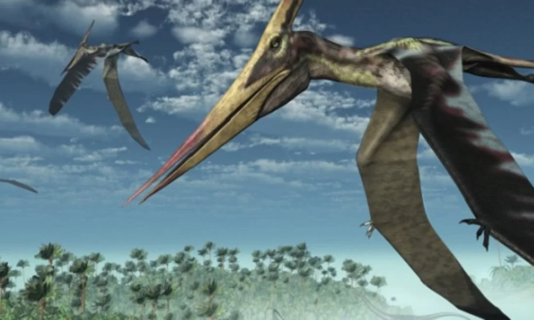 Atacama çölünde 100 milyon yıllık Pterosaurs mezarlığı bulundu