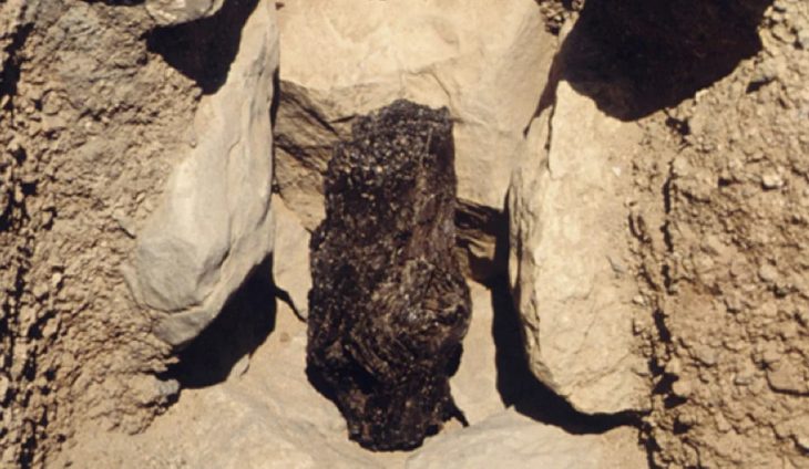 Eilat'ta bulunan ardıç ağacı gövdesi en eski Tanrıça Aşera olabilir.