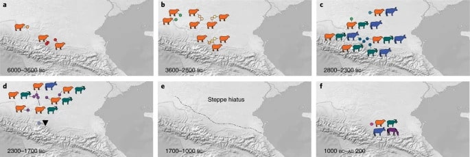 Eski Çağ'da Kafkasya hayvan dağılımı