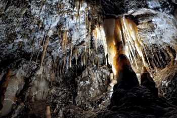 Morca Mağarası'nda yeni bir tür bakteri keşfedildi