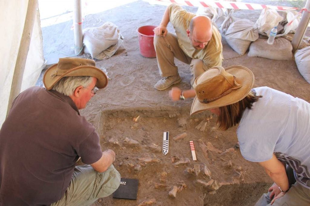 Boncuklu Höyük kazılarında bulunan hayvan kemikleri