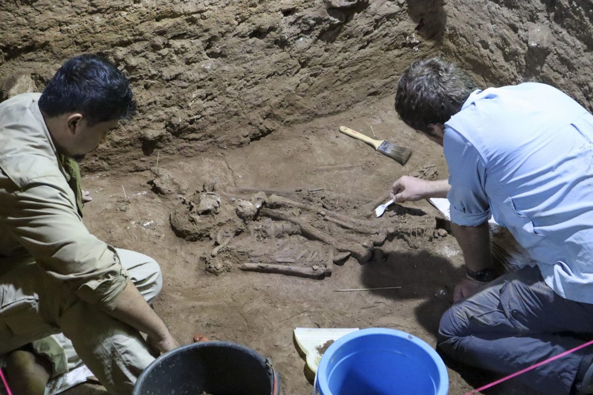 Endonezya'da bir mağarada bulunan 31.000 yıllık iskelet amputasyonun bilinen en eski kanıtı olabilir