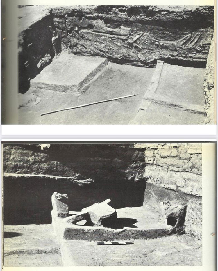 Konya Çatalhöyük'te 8 bin 200 yıllık tapınak ortaya çıkarıldı