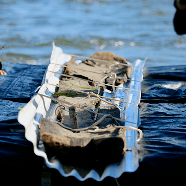 Deniz arkeoloğu Wisconsin gölünde 3.000 yıllık bir kano keşfetti