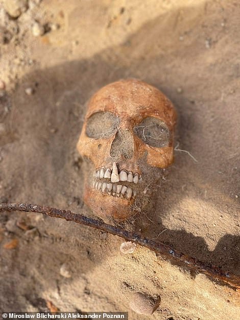 Polonya'da ölümden dönmesini önlemek için boğazında bir orakla yere sabitlenmiş bir kadın 'Vampir' kalıntısı bulundu.