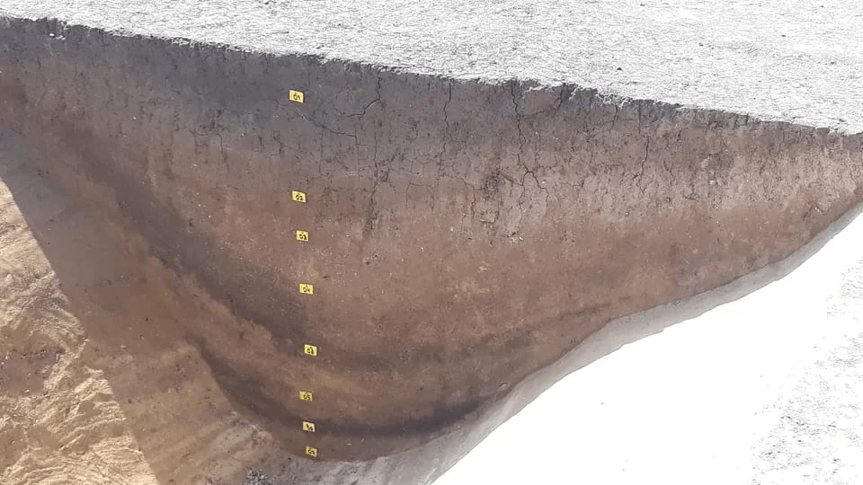 Yaklaşık 7.000 yıl önce inşa edilen sözde yuvarlak, Prag'ın eteklerinde Vinoř bölgesinde bulunuyor|Fotoğraf: Bilimler Akademisi Arkeoloji Enstitüsü