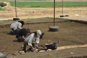Anadolu Neolitik Çağı'na Işık Tutacak Sefertepe Kazıları Devam Ediyor