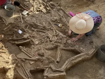 Slovakya'nın Vráble kenti Neolitik yerleşim alanında 36 başsız insana ait kalıntılar ortaya çıkarıldı