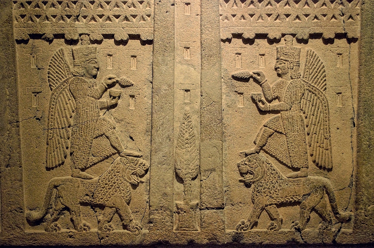 "Anadolu Antik DNA" projesi Urartuların kökeninin Anadolu ve Levant bölgesi olduğunu gösteriyor