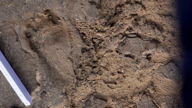 Bilim insanları İngiltere'de bir plajda 9 bin yıllık insan ayak izleri ile karşılaştı