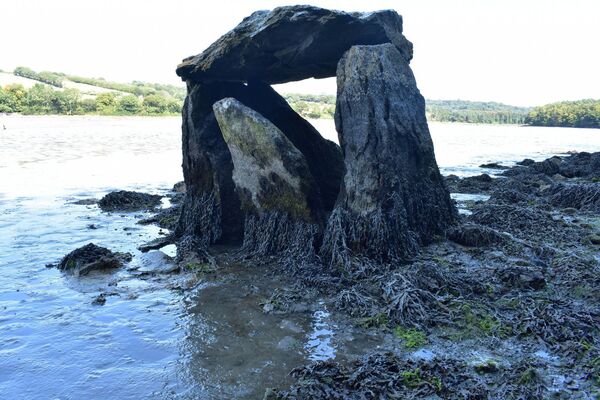 Connemara merkezli arkeolog Michael Gibbons, Cork Limanı'nın doğu kıyısındaki Rostellan'daki Carraig á Mhaistin taş yapısının megalitik bir dolmen olduğuna dair kesin kanıtlar olduğunu söylüyor. Fotoğraf: Michael Gibbons