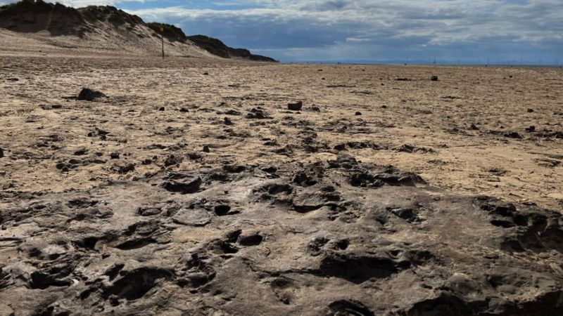 Bilim insanları İngiltere'de bir plajda 9 bin yıllık insan ayak izleri ile karşılaştı