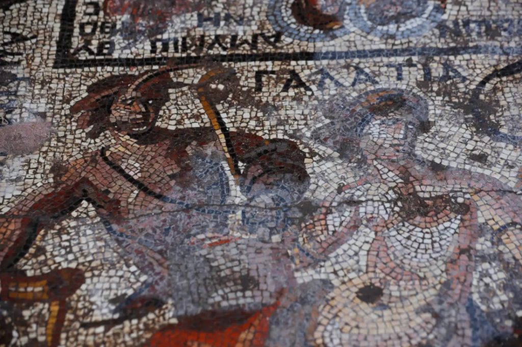 Suriye'de Amazon savaşçılarının tasvir edildiği nadir Roma mozaiği bulundu