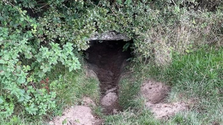 Cadılar Bayramı ilk defa Roscommon mağarasında mı kutlandı