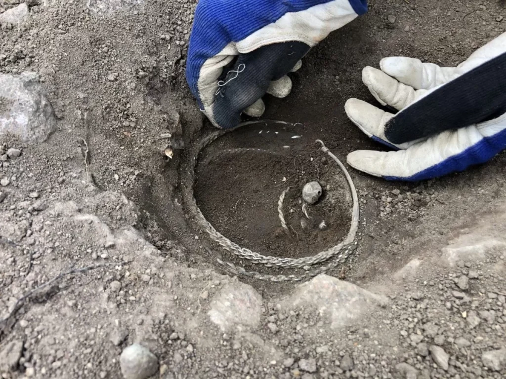 İsveç’te bulunan 1000 yıllık Viking gümüş hazinesi
