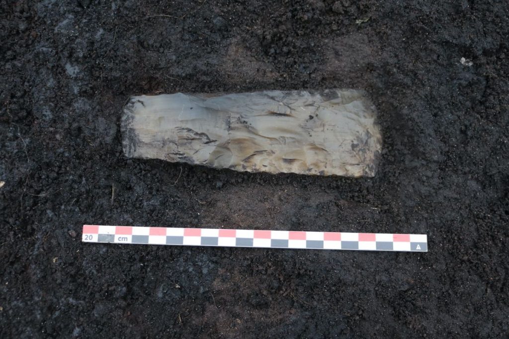 İnsan kalıntılarının yanında bulunan çakmaktaşı balta başı hiç kullanılmamış gibi görünüyor; M.Ö. 3600 yılına tarihlenen bir tarzda