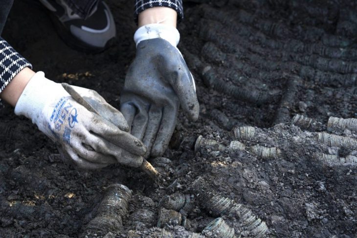 Doğu Çin'de 1500 kilo bronz sikke bulundu
