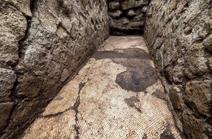 Arkeologlar, acımasız Publius Vedius Pollio'nun oturma odasının antik mozaiğini ortaya çıkardılar