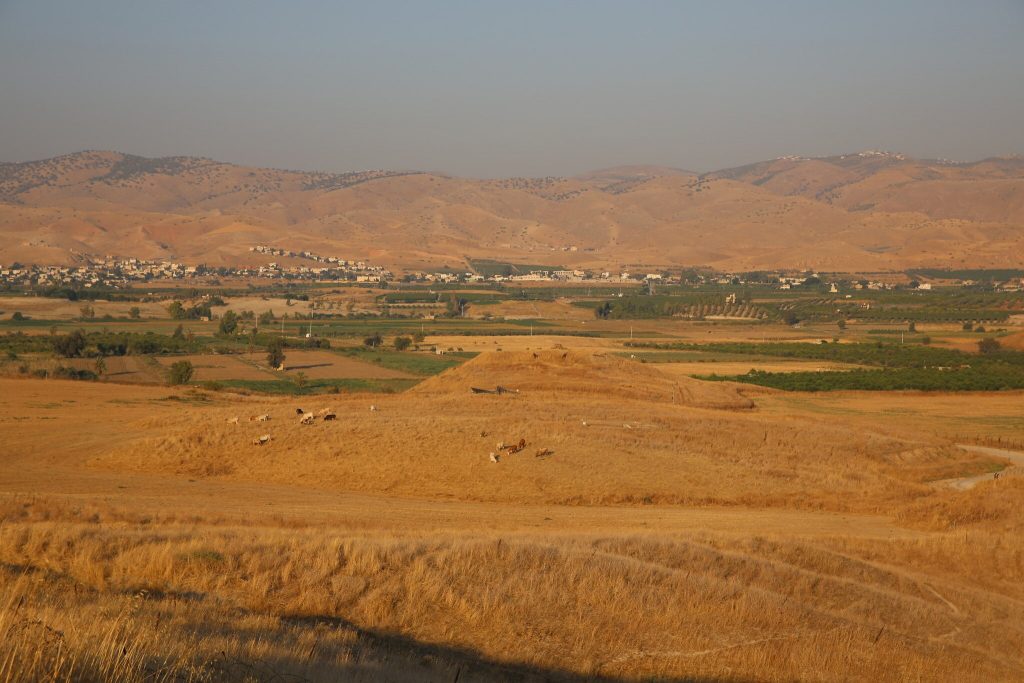 Tel Tsaf'ın doğuya doğru görünümü, arka planda Ürdün dağları. Fotoğraf Hayfa Üniversitesi