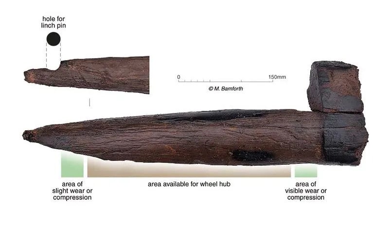 2400 yıllık nadir görülen ahşap aks parçası keşfedildi