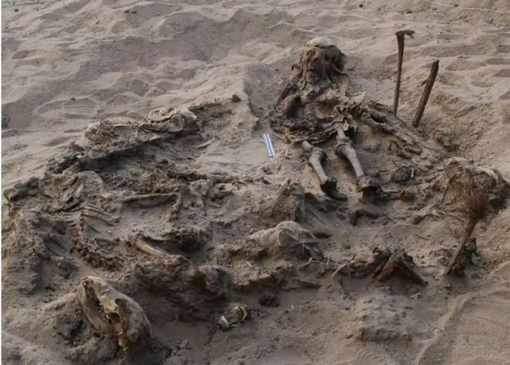 Mısırlı çocuk 142 köpekle birlikte gömülü bulundu