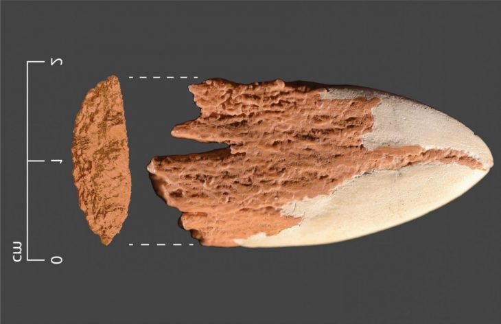 mastodon kemiğinden yapılmış mızrak ucu