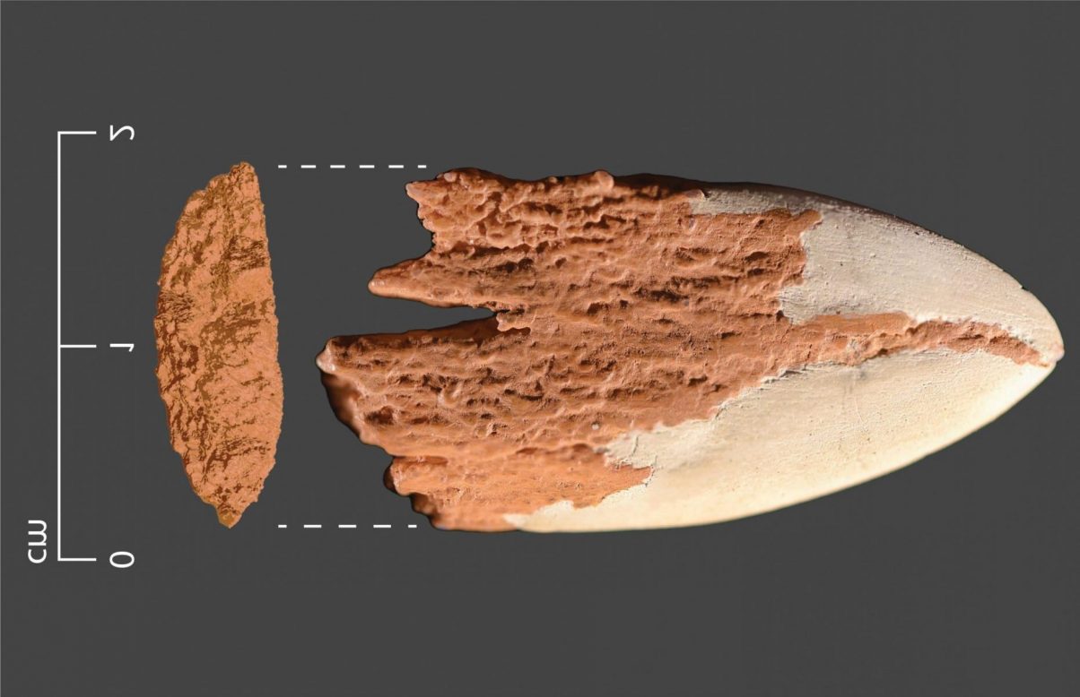 mastodon kemiğinden yapılmış mızrak ucu