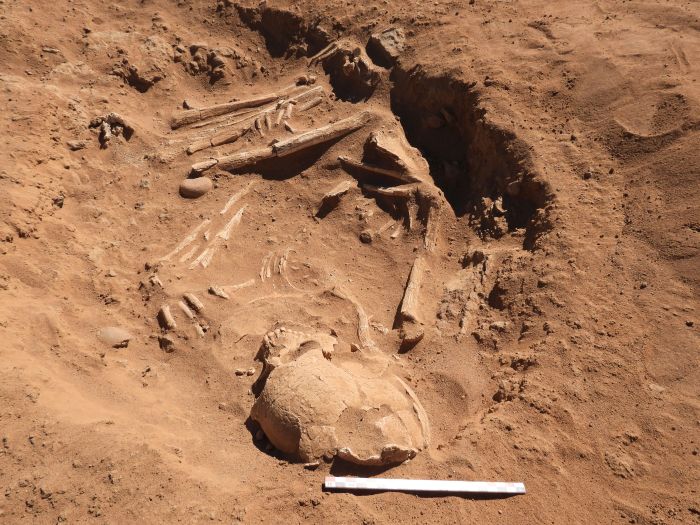 Sudan 7000 yıllık mezarda inek kanı içildiğine dair kanıtlar bulundu