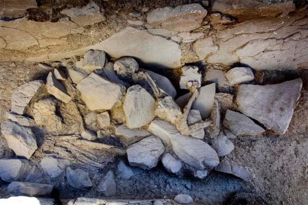 Piedras Blancas mezarındaki eklenen mezar nişlerine gömülü bir iskelet. Fotoğraf: M. Ángel Blanco de la Rubia / Antiquity Publications Ltd